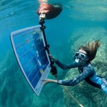 Activites Argeles Sur Mer