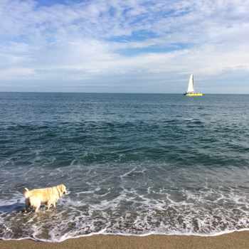 Bed and Breakfast Argeles Sur Mer, Collioure